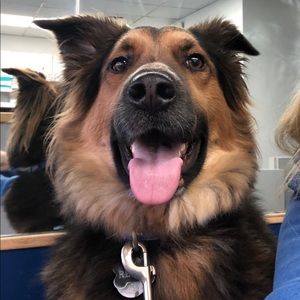 Meet your Posher, J M